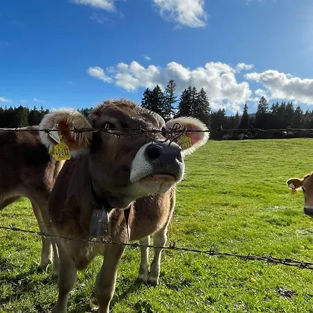 Bergzeit-nagelfluh Direkt Am Naturpark Apartament